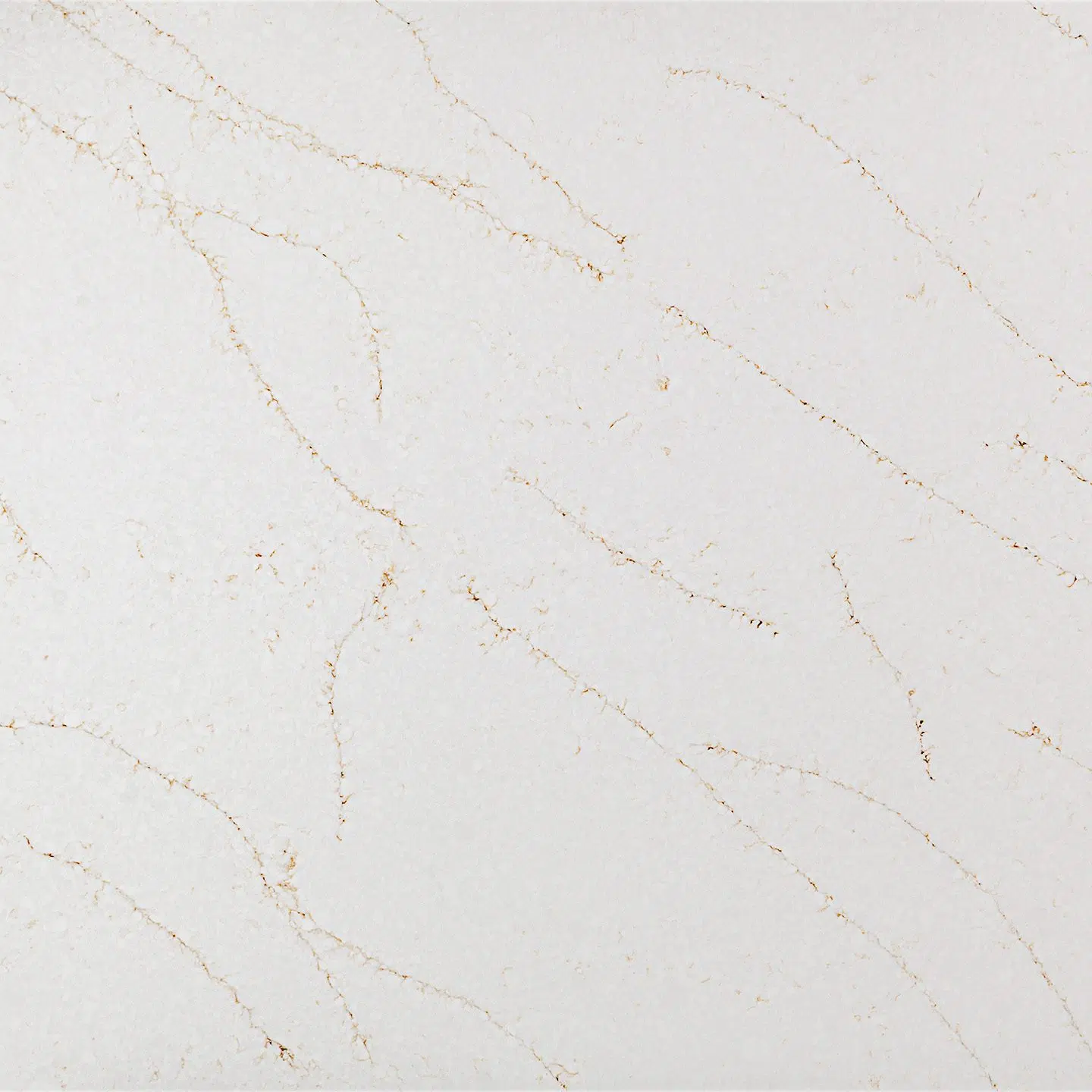 Calacatta Aurora Gold