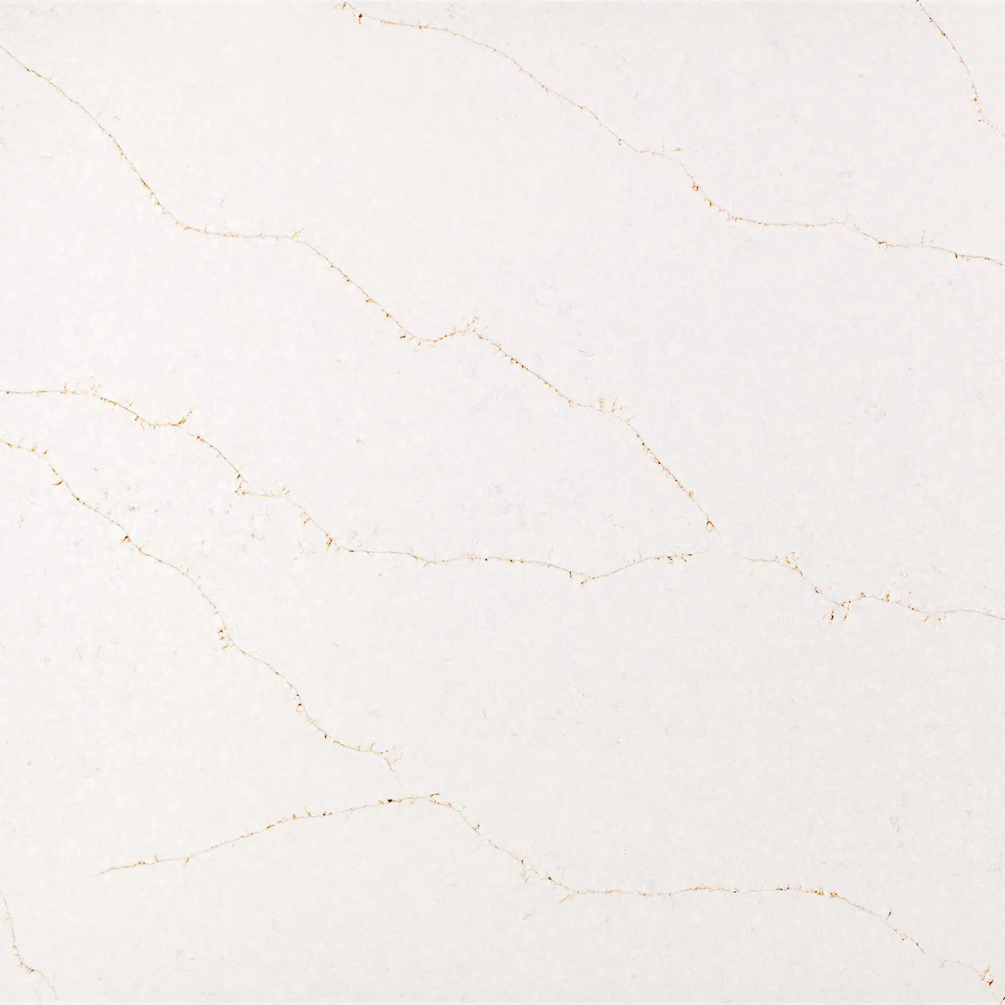 Calacatta Vivaldi Gold